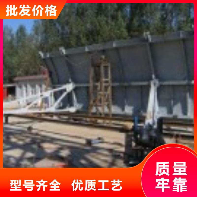 翻板闸门-启闭机当地货源