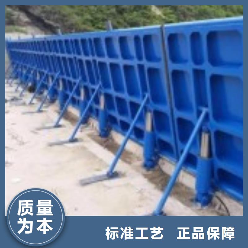  翻板閘門品質(zhì)過硬