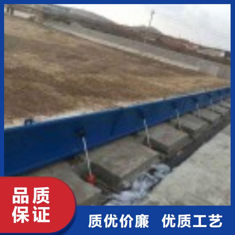 翻板闸门,钢制拍门厂家现货供应