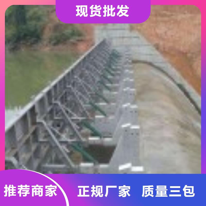  翻板闸门产地源头好货