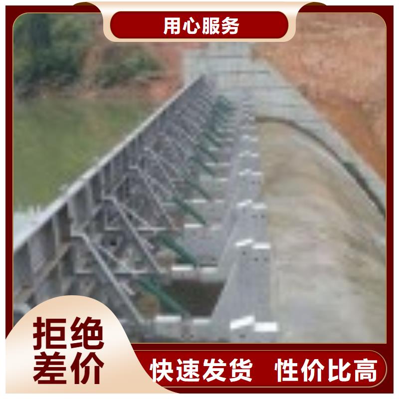 翻板闸门_拦污栅厂家现货批发