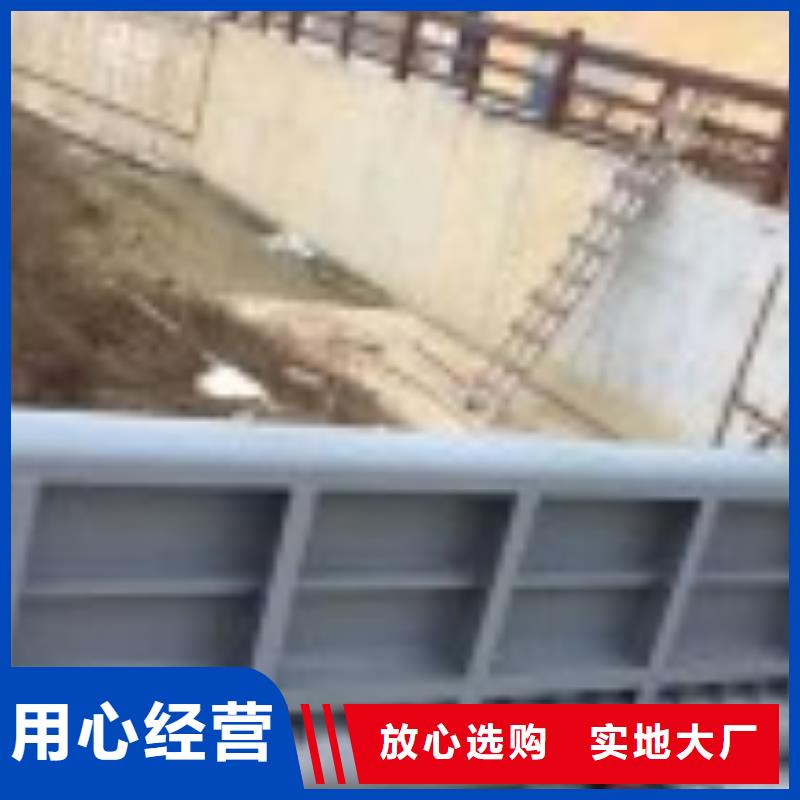 翻板闸门专注质量