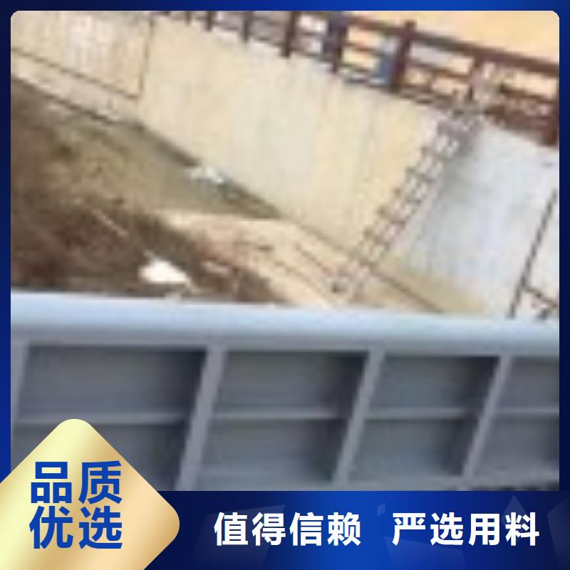 翻板闸门_【拦污栅】多种工艺