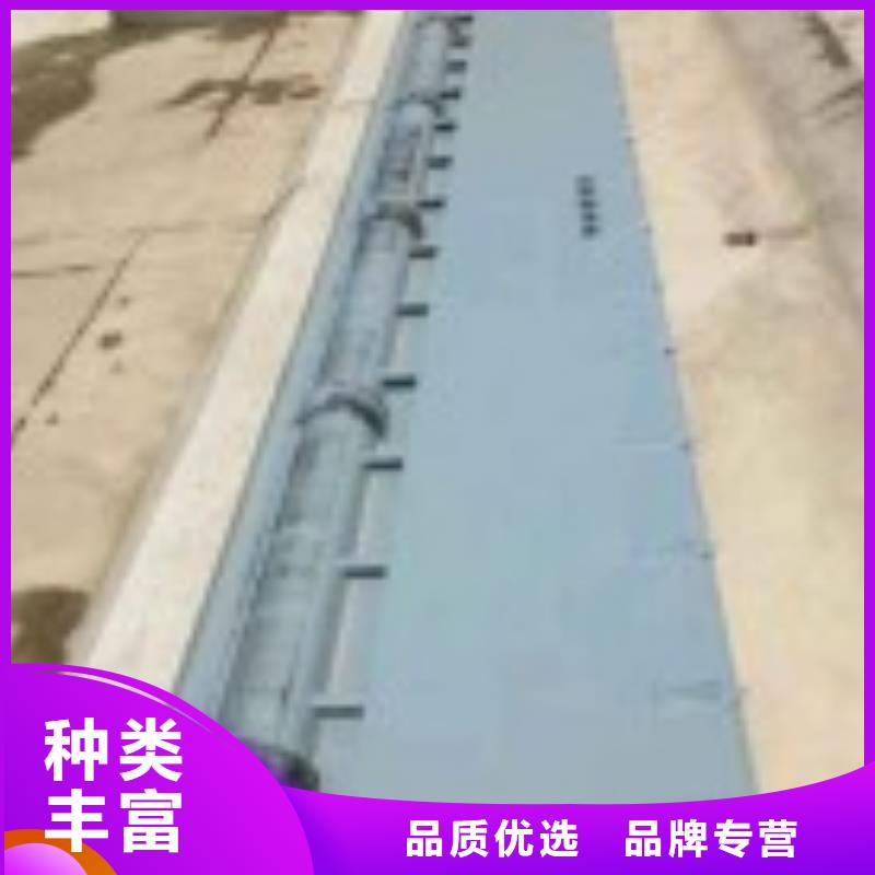 翻板閘門鋼制拍門種類豐富