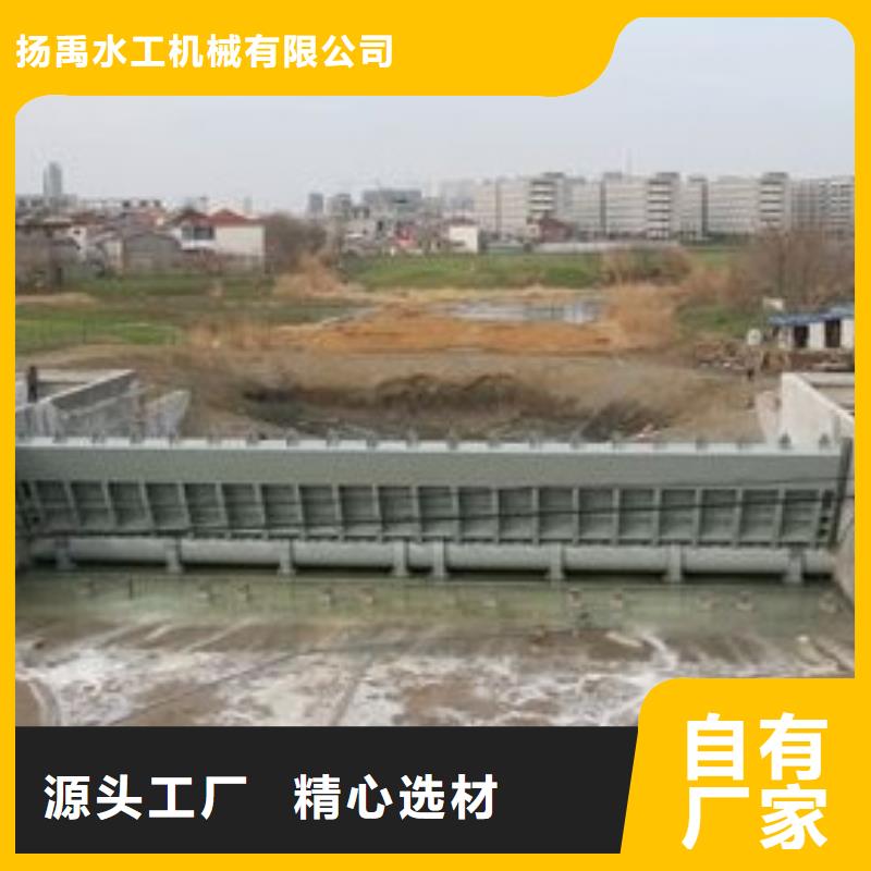 翻板閘門,攔污柵種類齊全