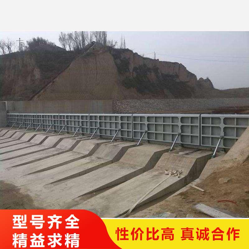  翻板闸门专业按需定制