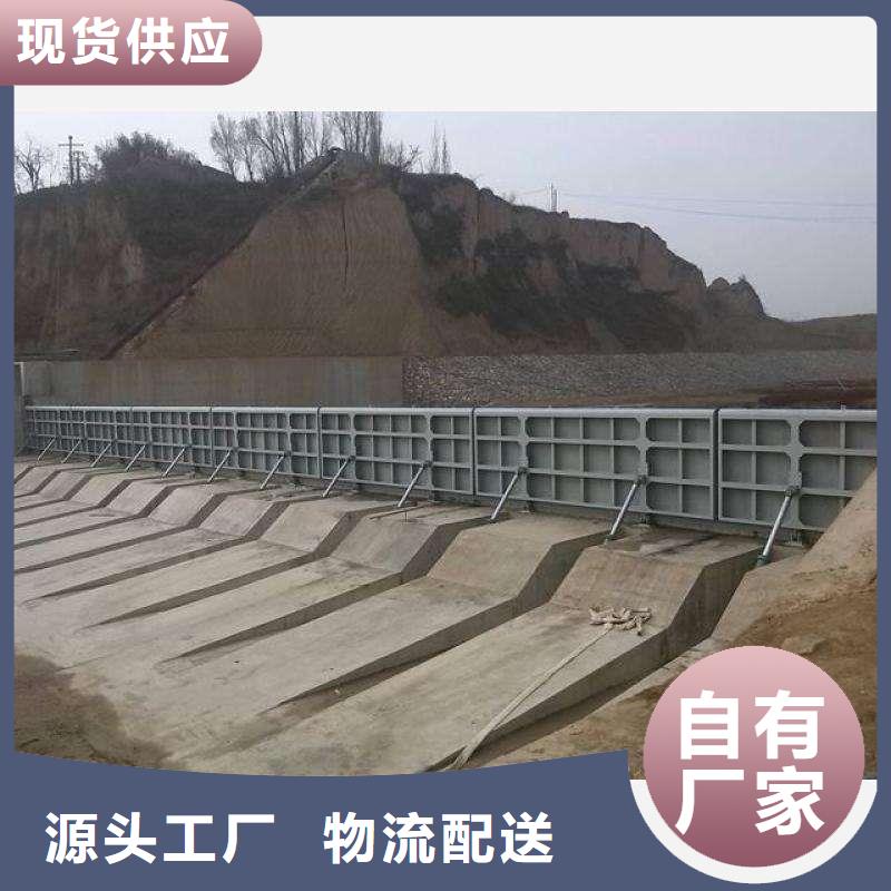  翻板闸门实力厂家