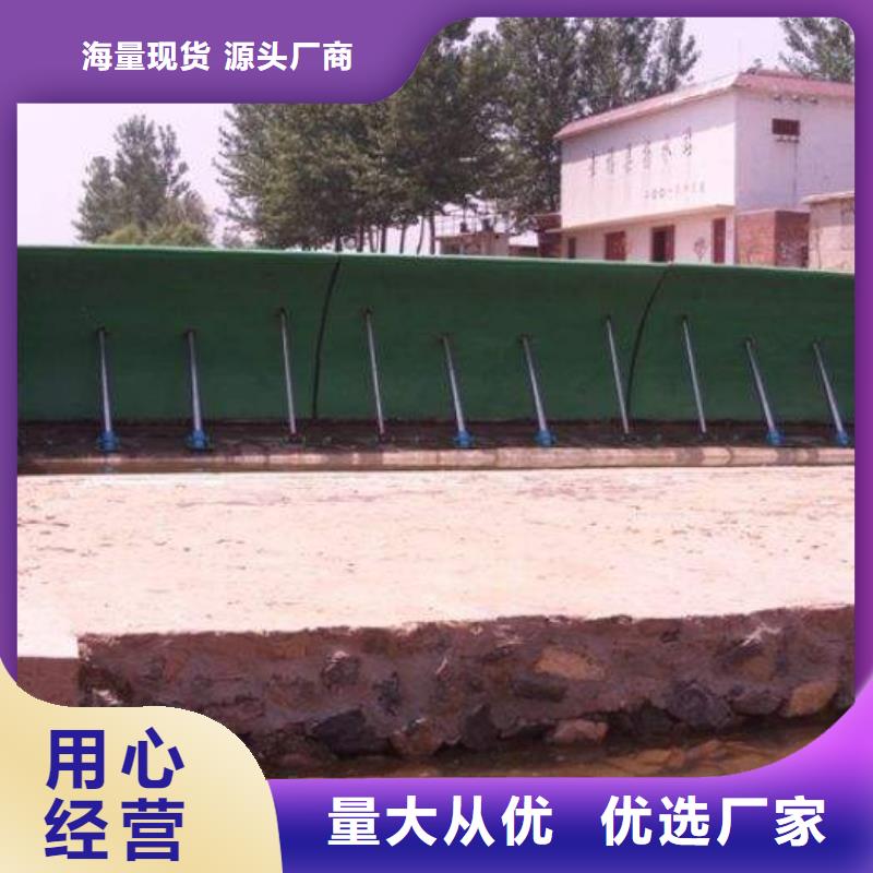 翻板閘門,攔污柵種類齊全