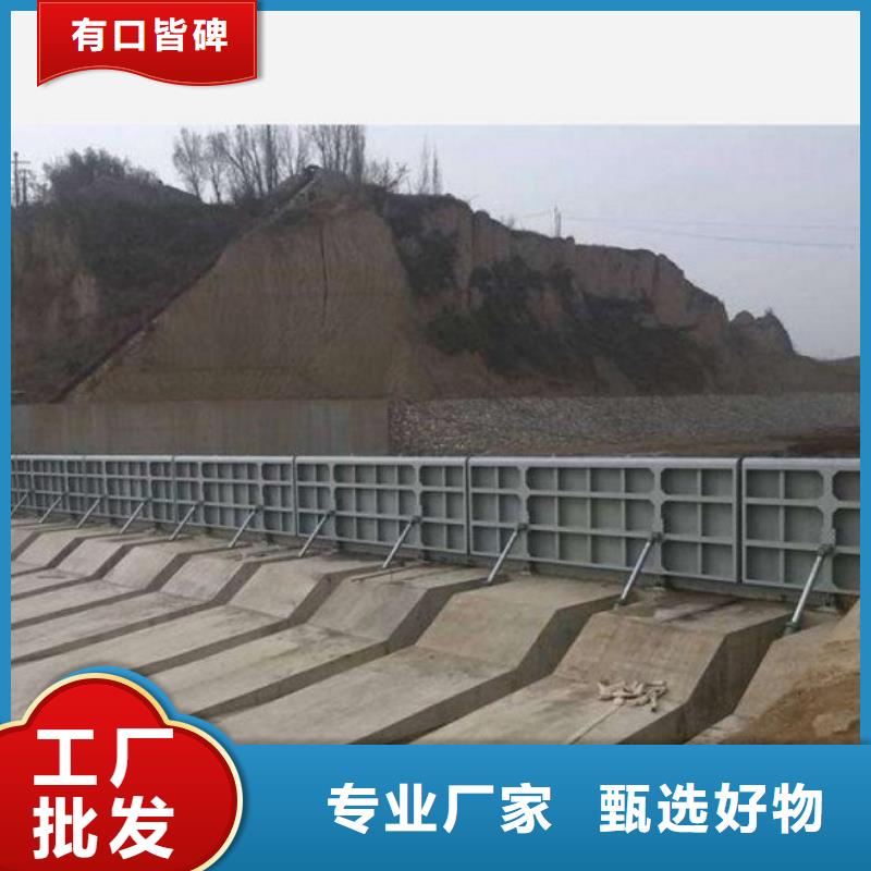 翻板閘門工程施工案例