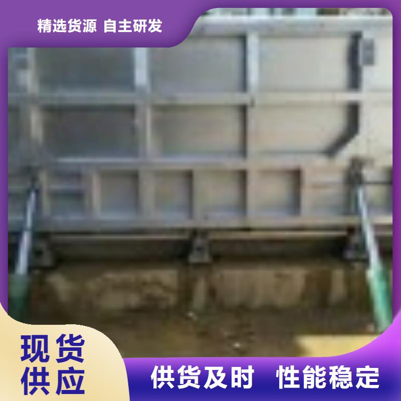 翻板閘門_鋼制閘門用心做品質(zhì)