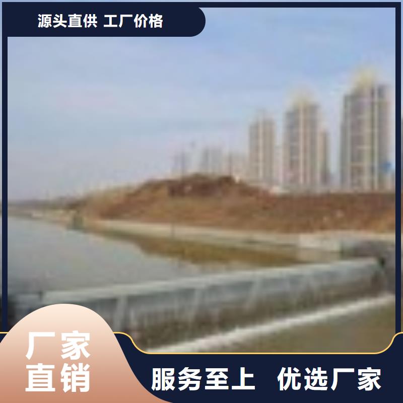 翻板闸门 铸铁闸门实力厂家直销