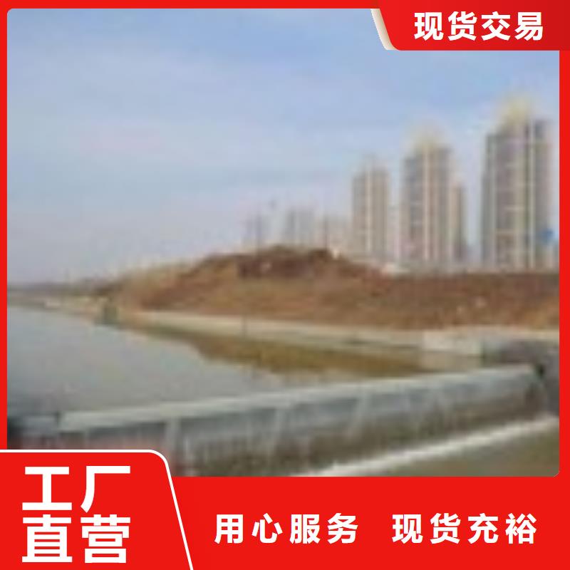翻板闸门钢制拍门厂家精益求精