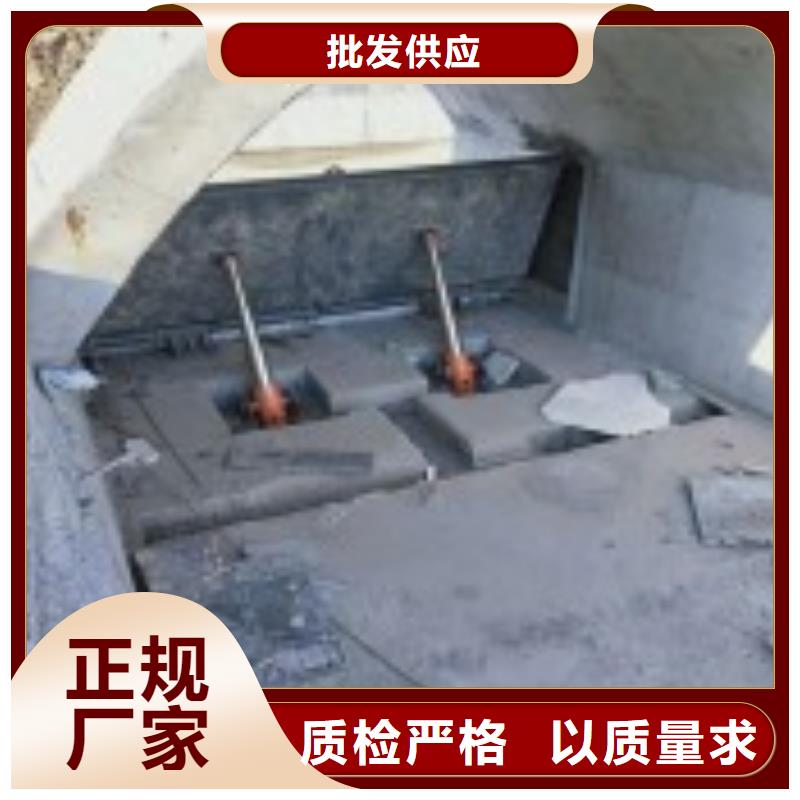 翻板閘門鋼制拍門種類豐富
