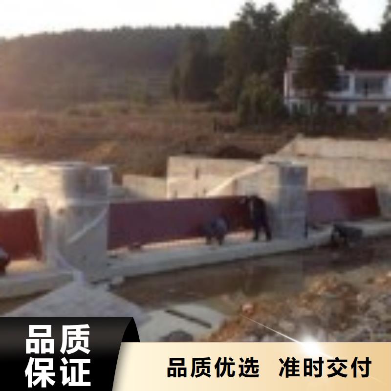 翻板闸门高标准高品质