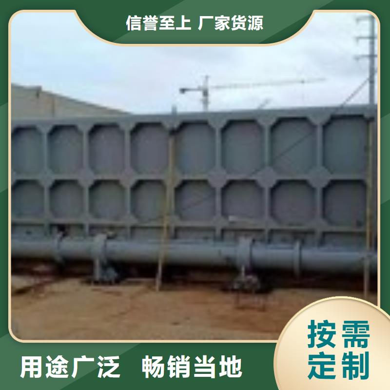  翻板闸门品质服务诚信为本