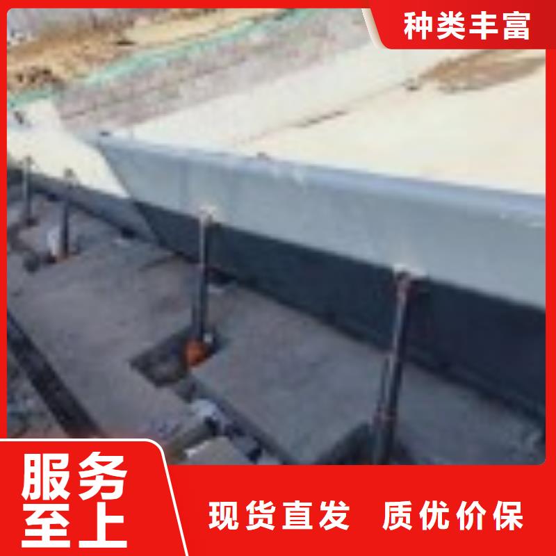 翻板閘門【不銹鋼閘門】常年供應(yīng)