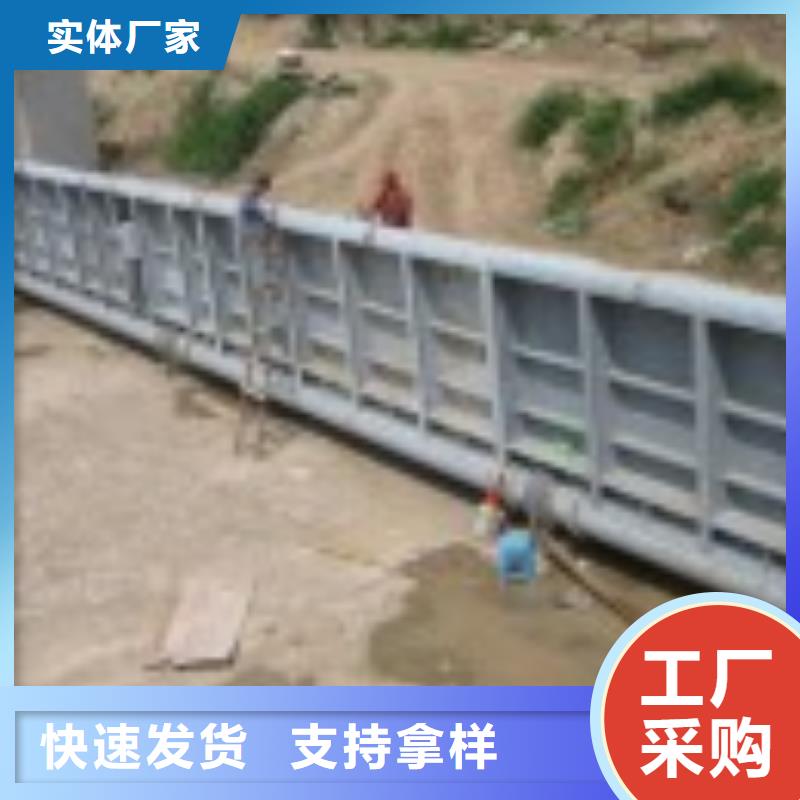 翻板閘門,攔污柵種類齊全