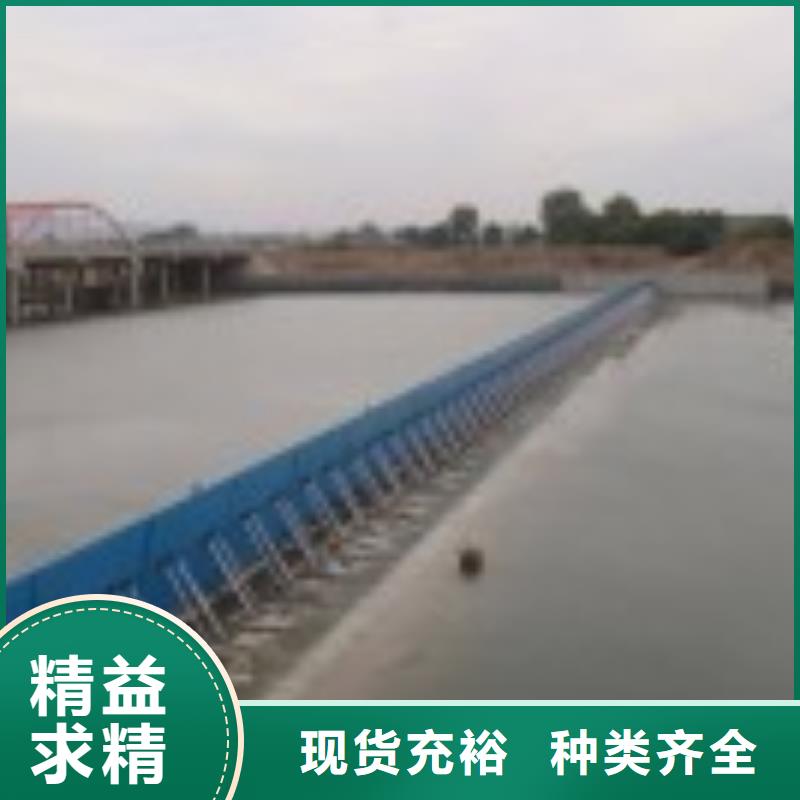翻板闸门真材实料加工定制