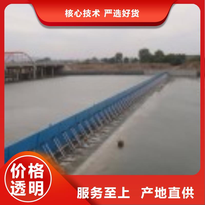 翻板閘門講信譽(yù)保質(zhì)量