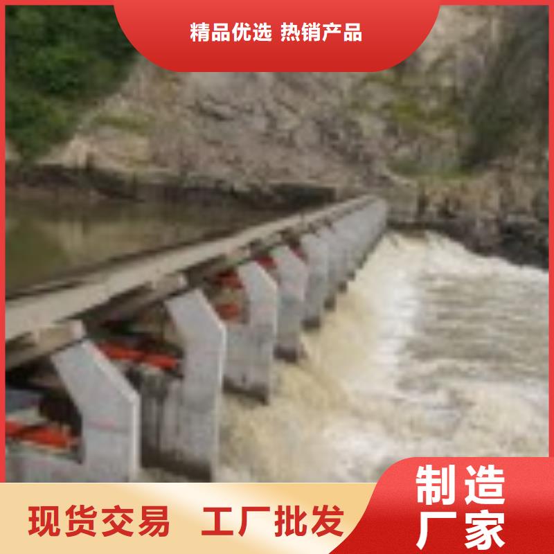 翻板閘門球墨鑄鐵閘門廠家定制批發(fā)