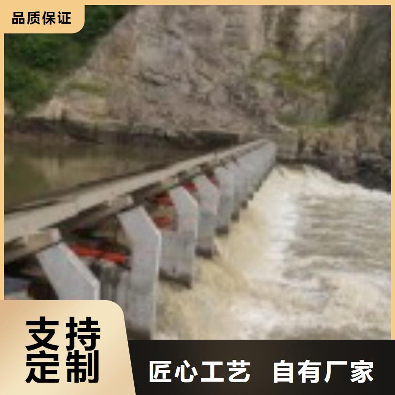 翻板閘門鋼制拍門種類豐富