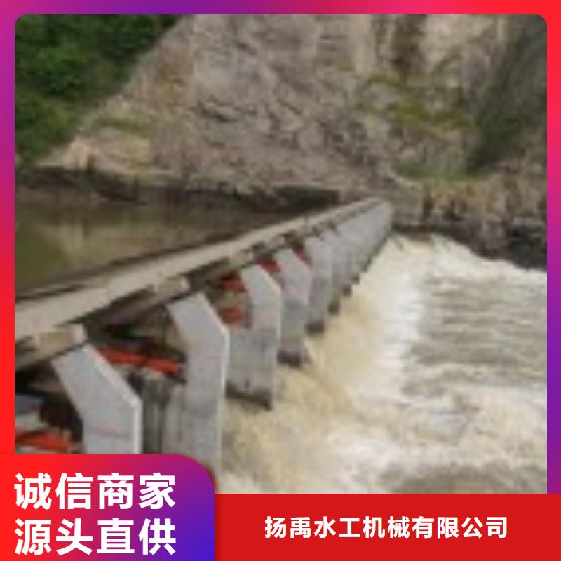 翻板閘門卷揚啟閉機專心專注專業(yè)