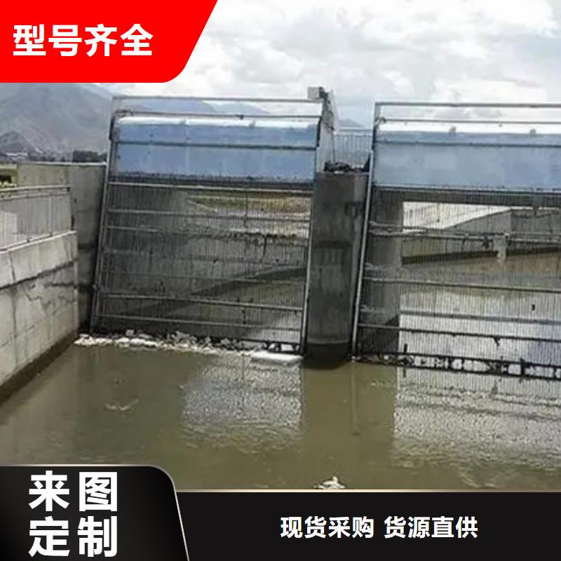 清污機鋼制拍門經驗豐富品質可靠