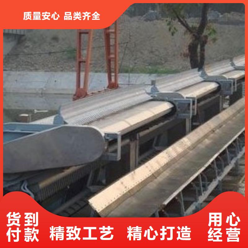清污机钢制拍门厂家多年实力厂家