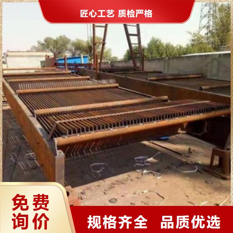 清污機球墨鑄鐵閘門廠家品質(zhì)保障價格合理