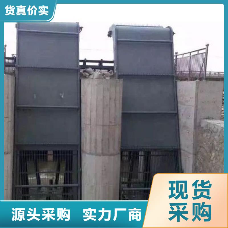 清污機(jī)【鑄鐵閘門】海量貨源