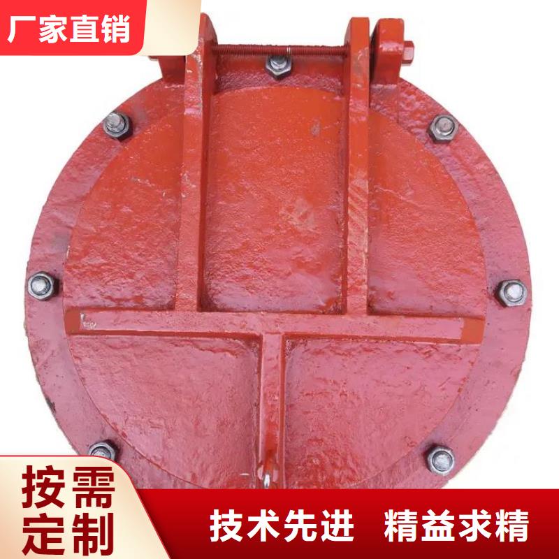拍門,封閉式啟閉機多年廠家可靠