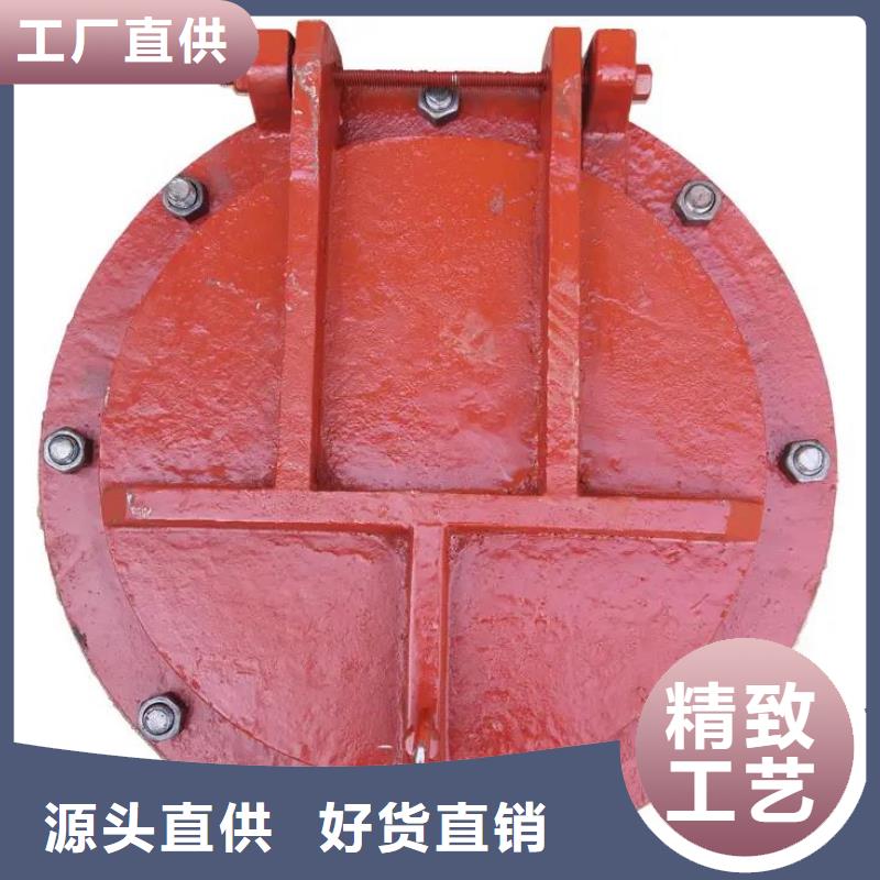 拍門(mén)攔污柵誠(chéng)信經(jīng)營(yíng)現(xiàn)貨現(xiàn)發(fā)