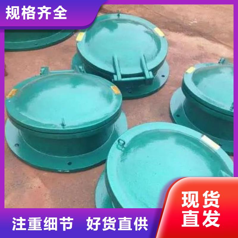 拍門,封閉式啟閉機(jī)多年廠家可靠