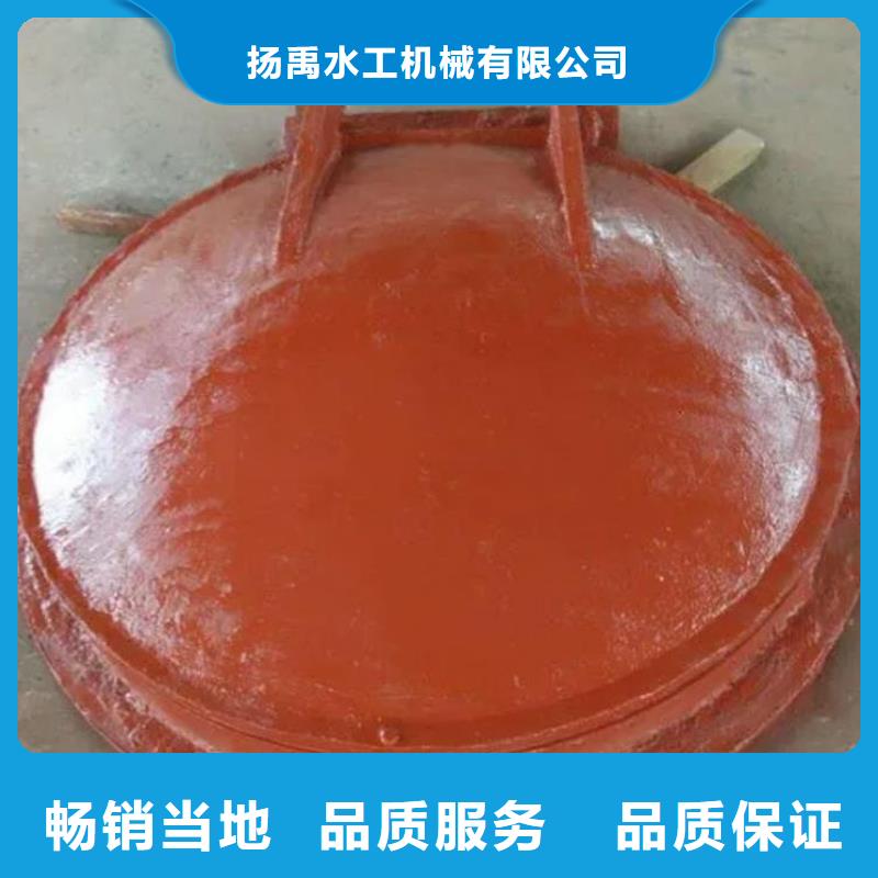 拍门【不锈钢拍门】厂家经验丰富