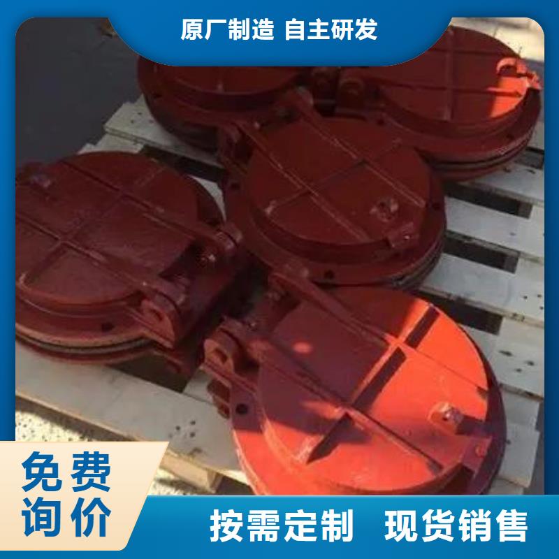 拍門(mén)廠家直銷(xiāo)規(guī)格多樣