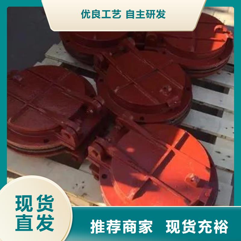 拍門攔污柵來圖來樣定制