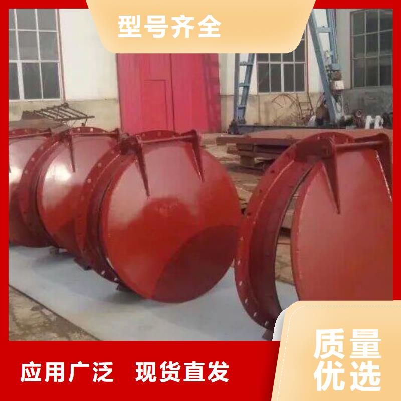 【拍门钢制闸门品质有保障】