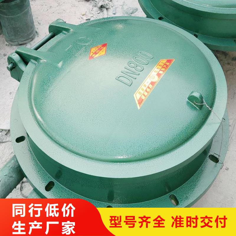 拍门铸铁闸门产地工厂