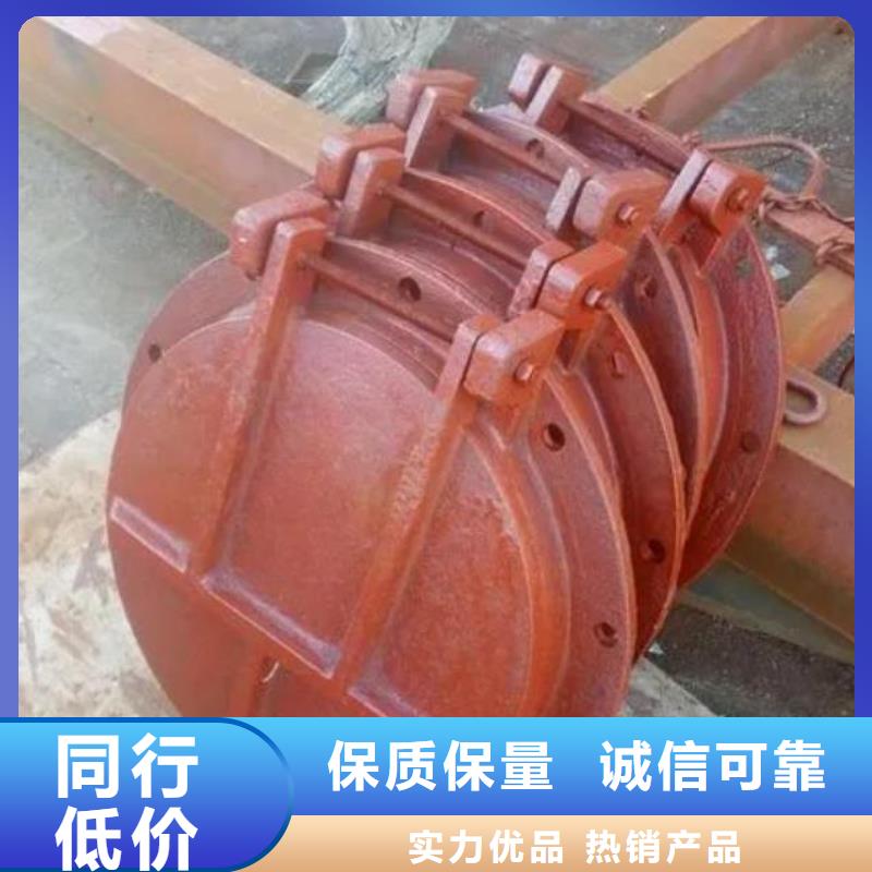  拍门甄选好厂家