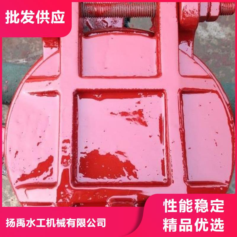【拍門】鋼制拍門廠家直銷省心省錢