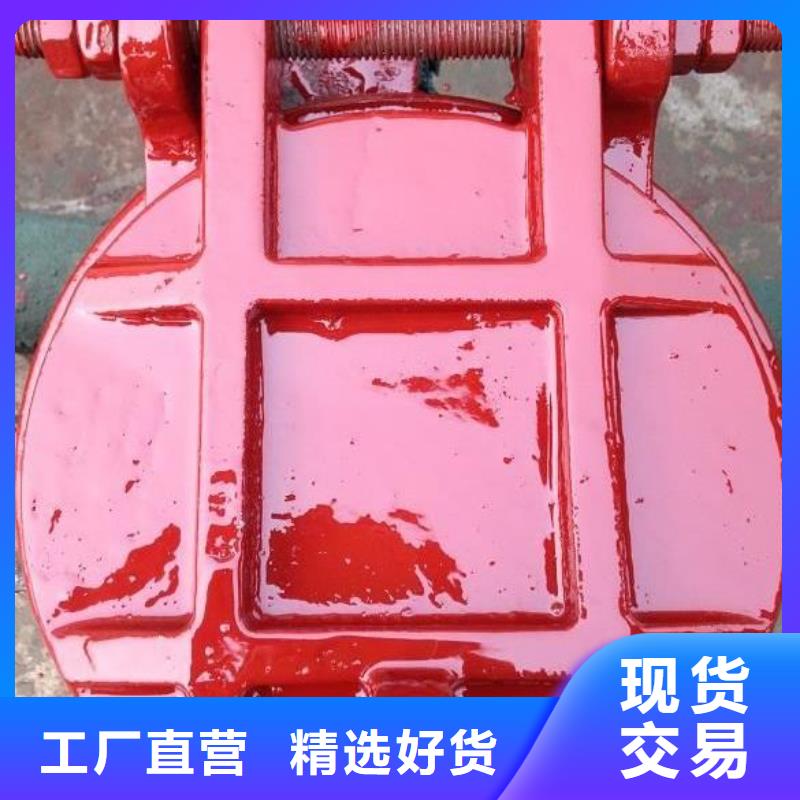 【拍門】 卷揚(yáng)啟閉機(jī)來圖來樣定制