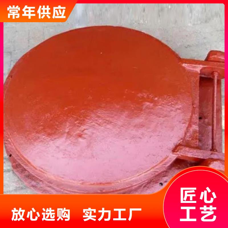  拍门厂家实力雄厚