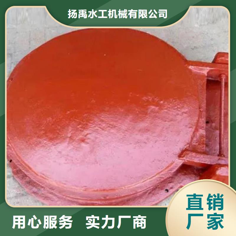 拍门-卷扬启闭机放心购
