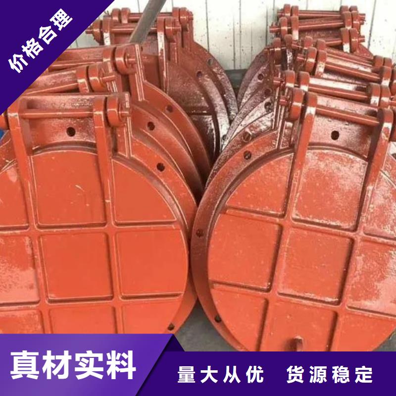 拍門 液壓啟閉機(jī)按需定做