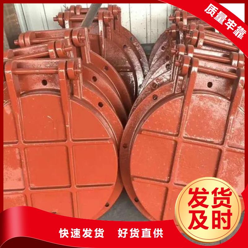 拍门铸铁闸门产地工厂