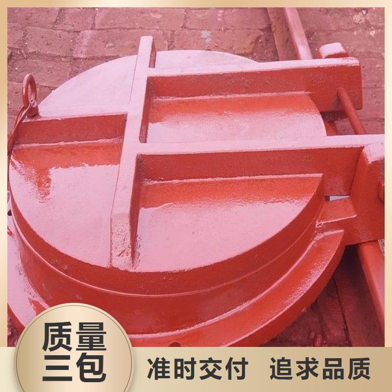 拍門鑄鐵閘門客戶信賴的廠家