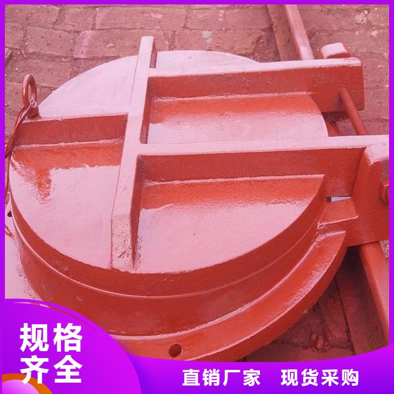 拍门钢制拍门厂家实体厂家支持定制