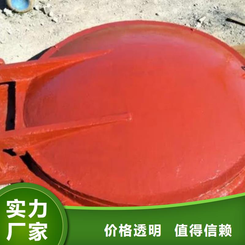  拍门品质优选