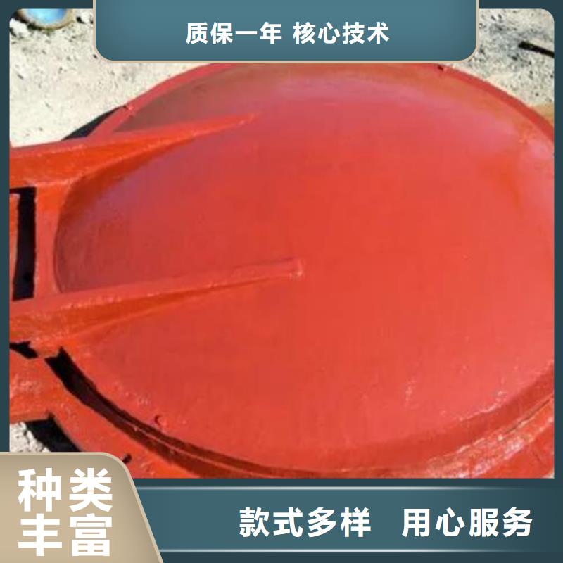 拍门【不锈钢拍门】厂家经验丰富