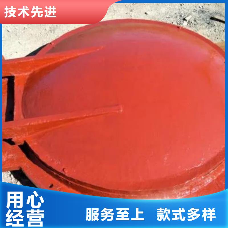 拍门,卷扬启闭机厂家发货迅速